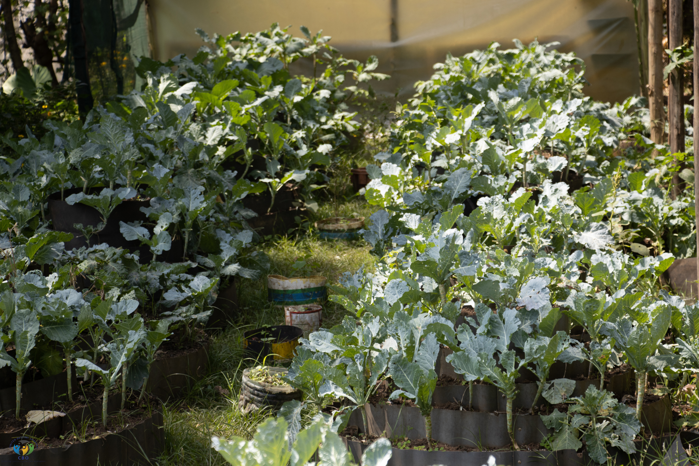 MODERN FARMING TECHNIQUES